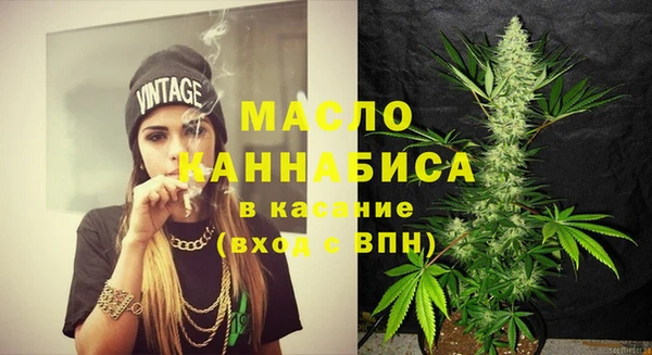 твердый Новодвинск