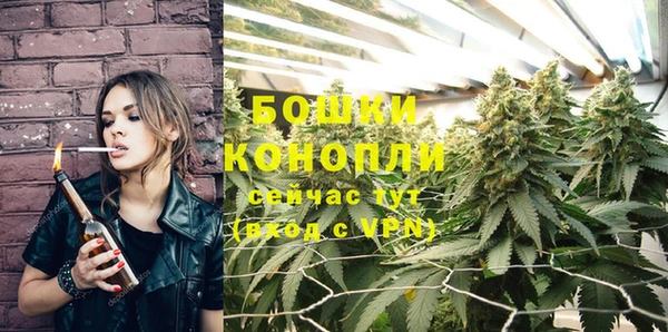 эйфоретик Новозыбков